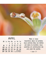 Nature en paix calendrier 2025