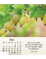 Nature en paix calendrier 2025