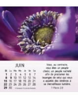 Nature en paix calendrier 2025