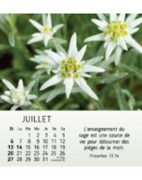 Nature en paix calendrier 2025