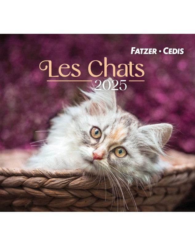 Chats petit format 205