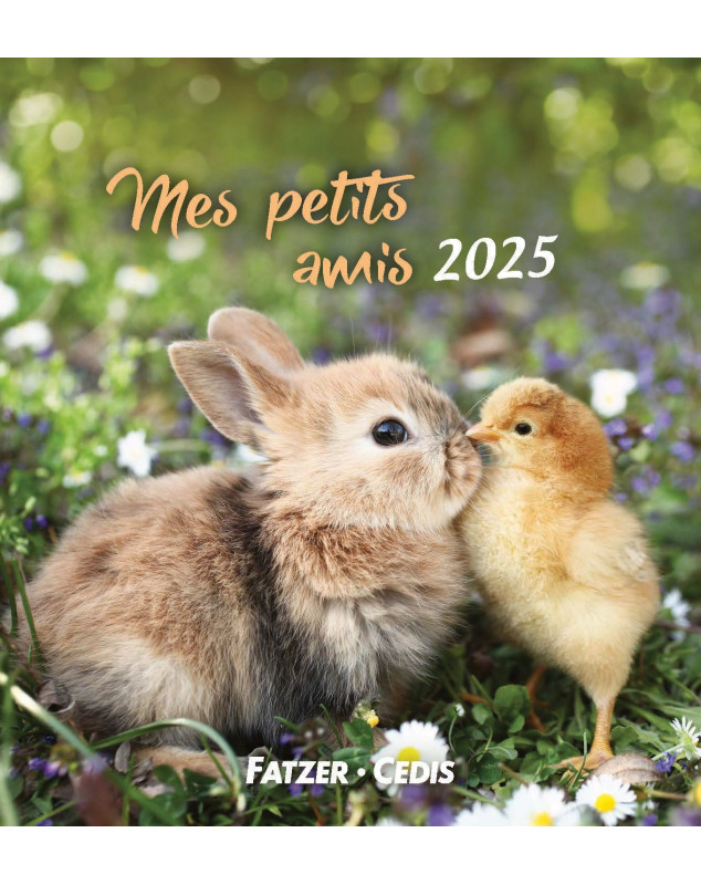 Mes petits amis calendrier 2025