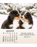 Mes petits amis calendrier 2025