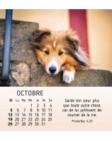 Mes petits amis calendrier 2025