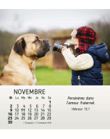 Mes petits amis calendrier 2025