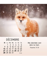 Mes petits amis calendrier 2025