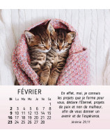 Mes petits amis calendrier 2025