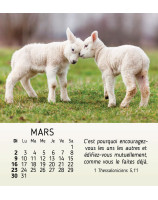 Mes petits amis calendrier 2025