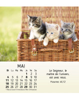 Mes petits amis calendrier 2025