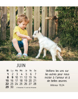 Mes petits amis calendrier 2025