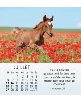 Mes petits amis calendrier 2025