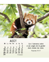 Mes petits amis calendrier 2025