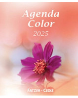 Agenda color 2025