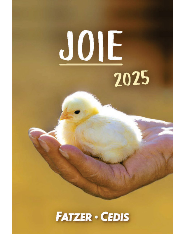 Joie mini-calendrier 2025