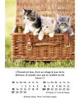 Joie mini-calendrier 2025