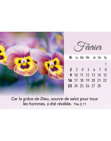 Plaisir d'offrir calendrier 2025