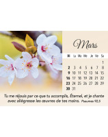 Plaisir d'offrir calendrier 2025