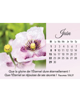 Plaisir d'offrir calendrier 2025