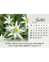 Plaisir d'offrir calendrier 2025