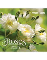 Roses petit format 2025