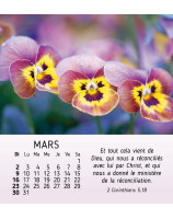 Floralies calendrier 2025