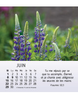 Floralies calendrier 2025