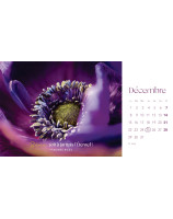 Les fleurs calendrier 2025