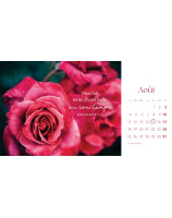 Les fleurs calendrier 2025