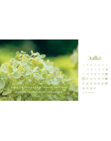 Les fleurs calendrier 2025