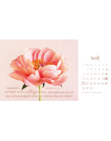 Les fleurs calendrier 2025