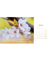 Les fleurs calendrier 2025