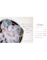 Les fleurs calendrier 2025