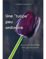 Une "tulipe" peu ordinaire