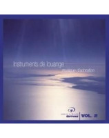 CD Instruments de louange volume 2