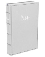 Bible Darby format compact, souple gris - Librairie 7 ici