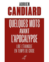 Quelques mots avant l'Apocalypse