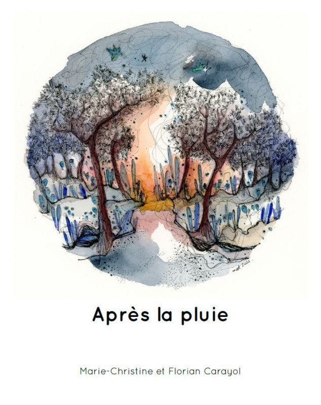 Après la pluie