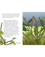 Sauvé des eaux - Librairie 7 ici
