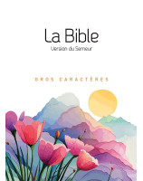 La Bible Version Semeur 2015 avec gros caractères