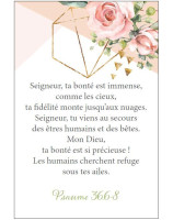 Promesses bibliques pour renforcer votre foi