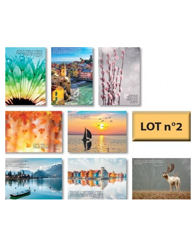 Lot n°2 de 8 cartes postales - Librairie 7ici