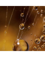 Mon regard macro