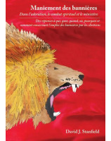 Maniement des bannières