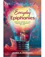 Everyday Epiphanies - Librairie 7 ici