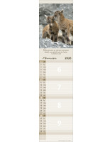 Calendrier Pour vous 2026 - Librairie 7 ici