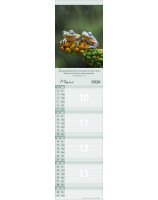 Calendrier Pour vous 2026 - Librairie 7 ici