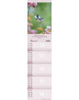 Calendrier Pour vous 2026 - Librairie 7 ici