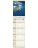 Calendrier Pour vous 2026 - Librairie 7 ici