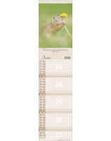 Calendrier Pour vous 2026 - Librairie 7 ici