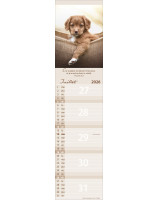 Calendrier Pour vous 2026 - Librairie 7 ici